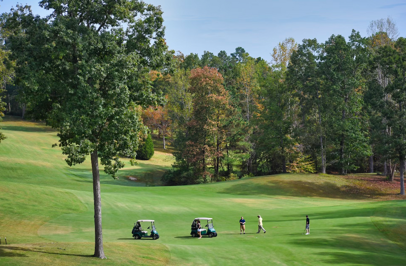 Optimize Your Golf Cart's Performance with Proper Care