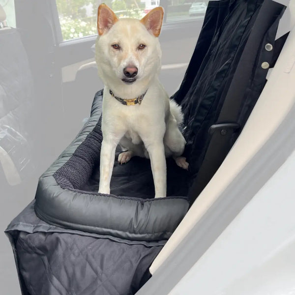 Back Seat Cover For Dogs I Dog Car Hammock I Car Seat Cover for Dogs – My  Fond Pets